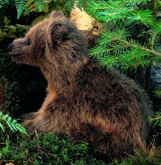 Brown Bear "Lümmel", sitting 
