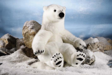 Polar Bear, small 