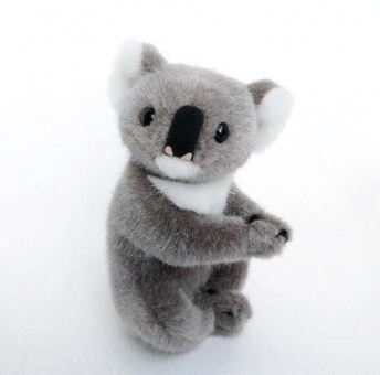 Koala, klein 