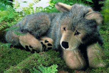 Wolf Puppy "Kolja", lying 