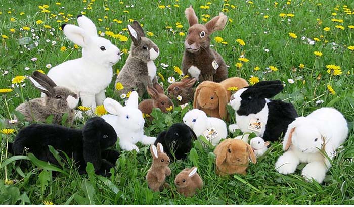 Koesen Kosen Rabbit Hare Stuffed Plush Toy Animal